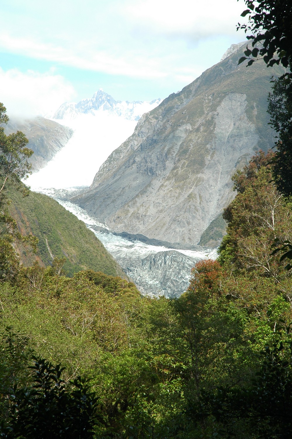 116   24 01   Greymouth   Fox Glacier
